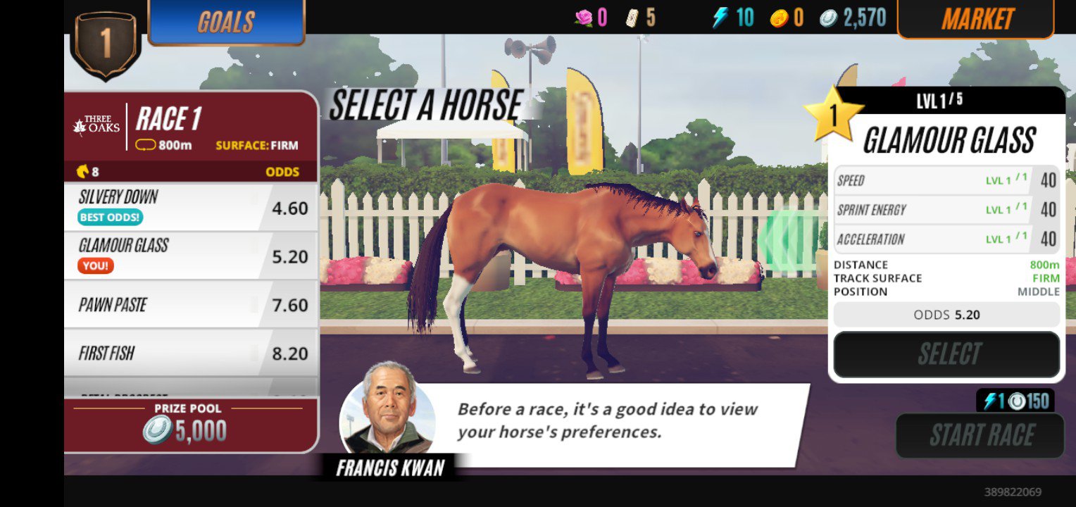 5 top horse race systems